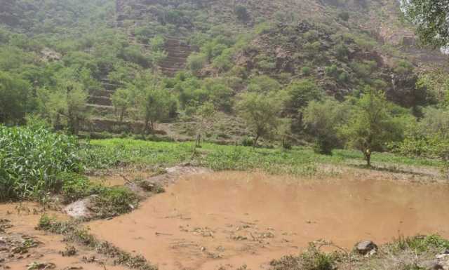 الأرصاد اليمني يتوقع هطول أمطار رعدية ورياح شديدة تؤثر على عدة محافظات