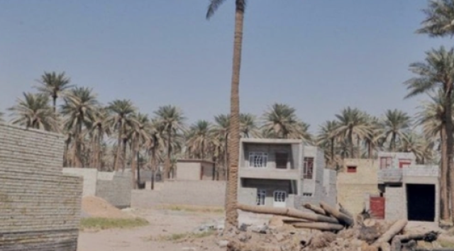 من خضرة إلى إسمنت: التضحية بالأراضي الزراعية للعمران