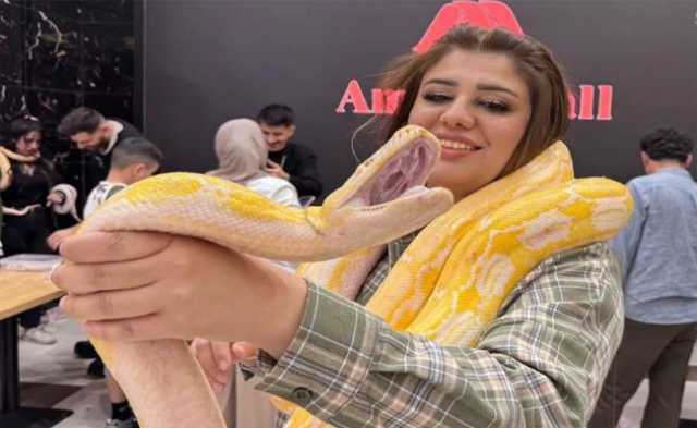 بغداد تحتضن مهرجاناً لعشاق الزواحف