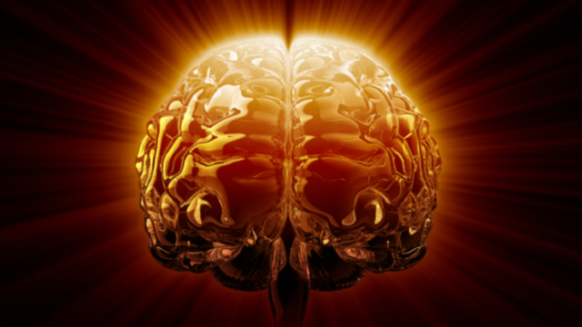 باحثون يحددون الأطعمة والمشروبات الأكثر ضرراً على الدماغ