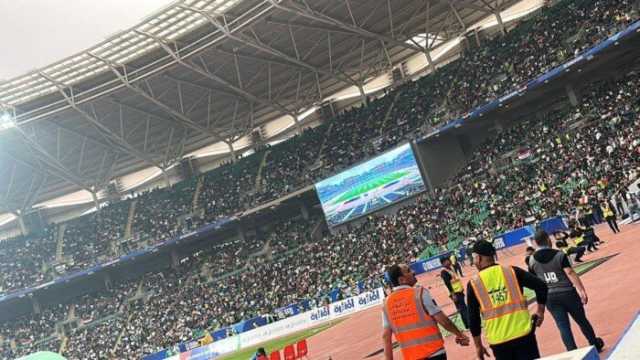 صور من مدرجات جذع النخلة في البصرة