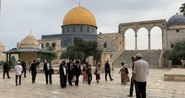أول أيام “الفصح اليهودي”.. القدس ثكنة عسكرية ومستوطنون يقتحمون الأقصى