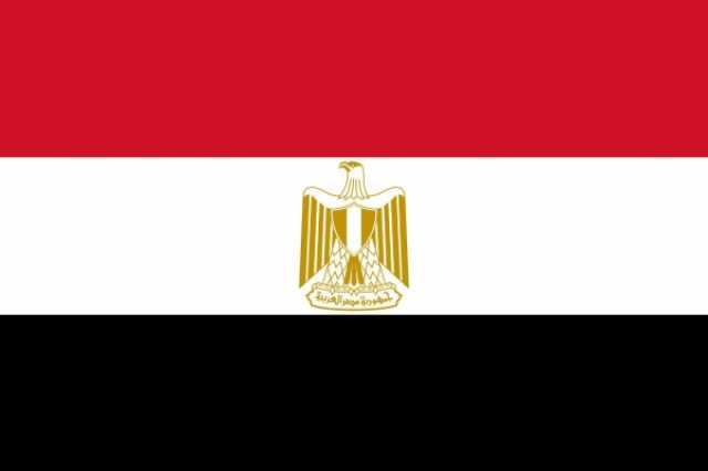 مصر تؤكد عزمها على اتخاذ الاجراءات اللازمة لإدانة اسرائيل امام محكمة العدل