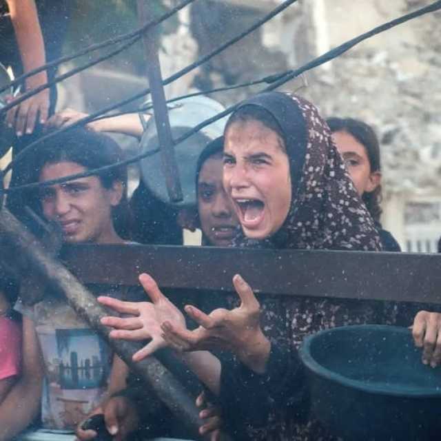الأمم المتحدة: المدنيون بغزة يُستهدفون أثناء اقترابهم من شاحنات الغذاء