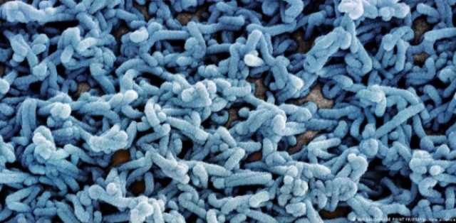 أثيوبيا تؤكد تفشي وباء 'فيروس ماربورغ' والصحة العالمية تحذر