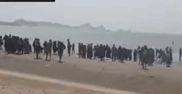 العمالقة تعلن إحباط تهريب أكثر من 200 مهاجرا أفريقيا في سواحل لحج