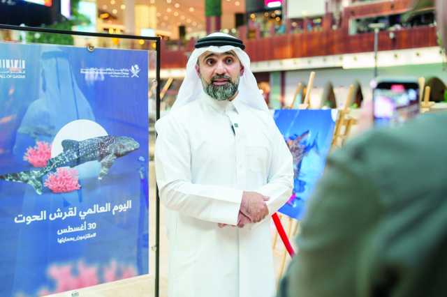 «البيئة» تحتفل باليوم العالمي لقرش الحوت