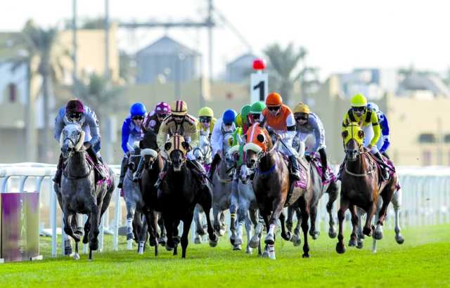 كأس الغارية أول سباقات الخيل اليوم