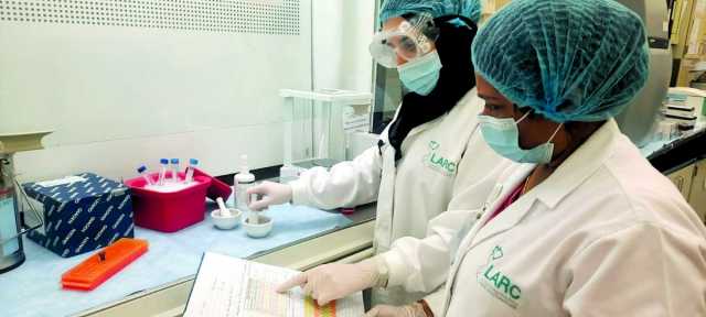 دراسة متخصصة: الإفراط في السكريات يهدد صحة الأمعاء