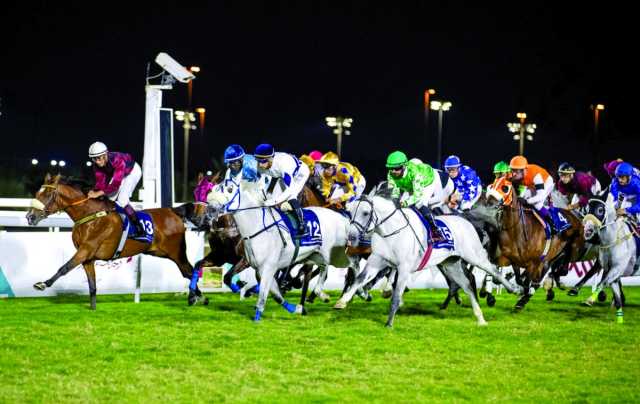 سباق الخيل «16» على كأس أوكس وداربي قطر