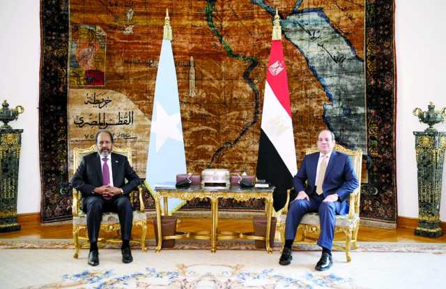 السيسي يرفض «المساس بسيادة الصومال»