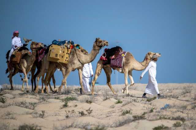 20 فريقا تتنافس في بطولة القلايل.. الإثنين