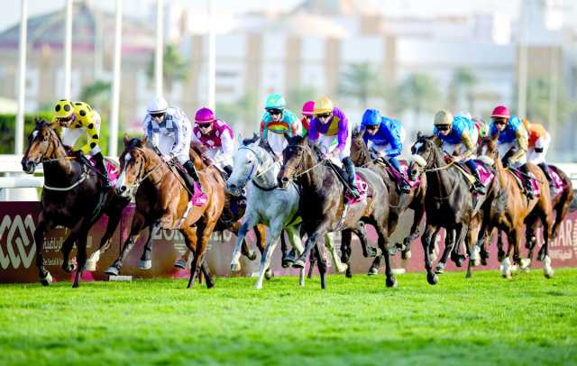 اليوم في ختام أغلى مهرجانات الفروسية.. السيف الغالي.. حلم الجميع