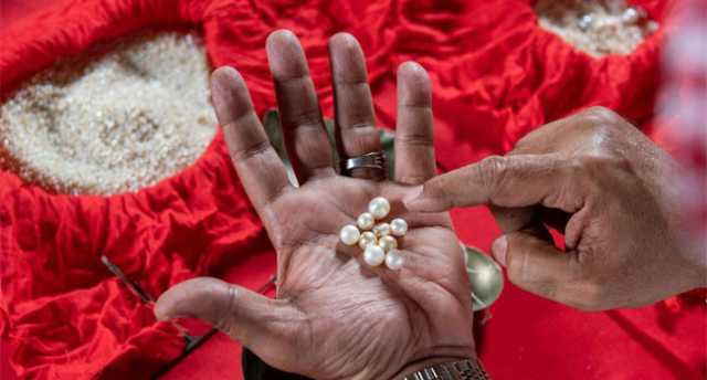 لؤلؤ فرسان .. ثراء الجزيرة وتراثها القديم