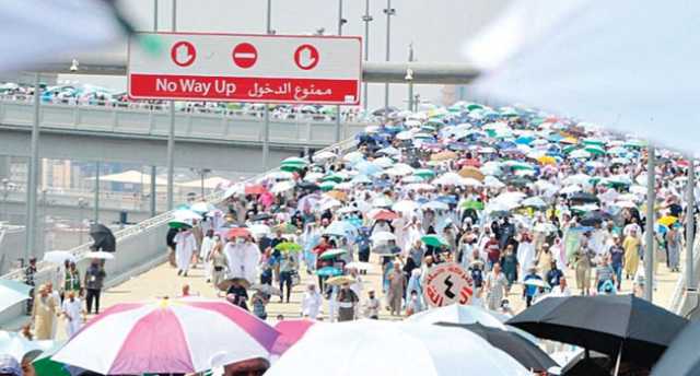 مناقشة الأمراض والتحديات الشائعة في موسم الحج