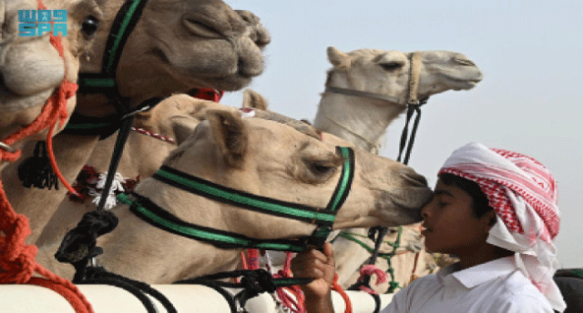 أيقونة التراث