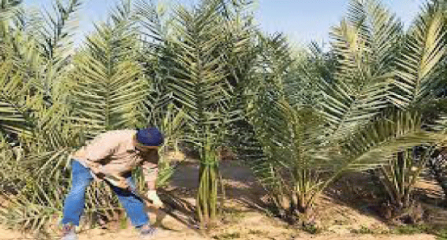 أكاديمية الزيتون.. رحلة تعليمية للأطفال