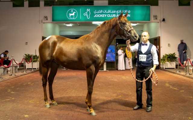 انطلاق مزاد نادي سباقات الخيل السنوي من 24 نوفمبر حتى 27 نوفمبر 2024