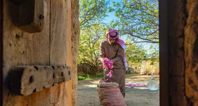 «وردة الطائف «تعبر الحدود إلى قائمة اليونيسكو العالمية