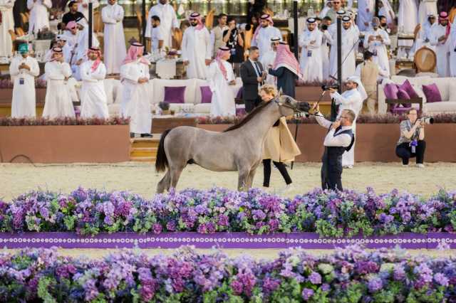 ختام “جولة الرياض” للجياد العربية 2025 في نسختها الثانية
