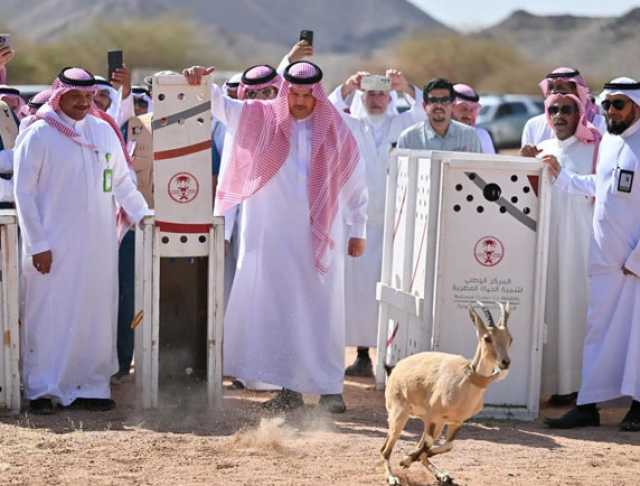 إطلاق 22 كائنًا فطريًا مهددًا بالانقراض في متنزه البيضاء