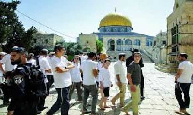 المملكة تُدين بأشد العبارات اقتحام مسؤولين ومستوطنين إسرائيليين باحات المسجد الأقصى