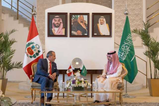 وزير الخارجية ونظيره البيروفي يناقشان عددًا من القضايا الدولية