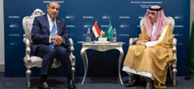وزير الخارجية يبحث مع نظيريه الباكستاني والمصري المستجدات