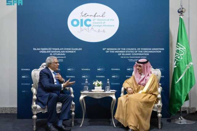 وزير الخارجية يبحث مع نظيريه الباكستاني والمصري المستجدات