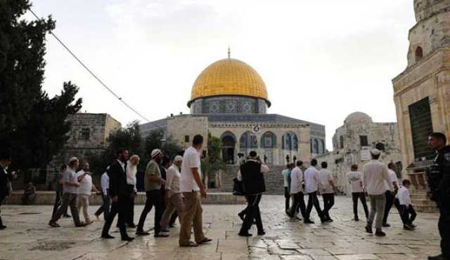 ترحيب دولي واسع بعزم فرنسا الاعتراف بدولة فلسطين