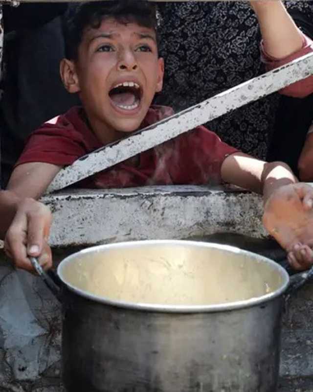دعت إلى خطوات فورية لوقف إطلاق النار.. ألمانيا تلوح بزيادة الضغط على إسرائيل