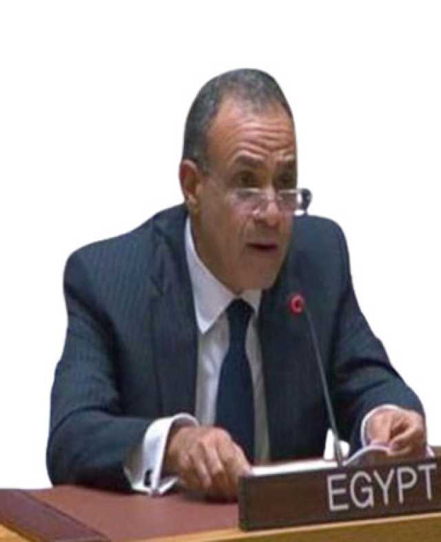 وزير الخارجية المصري: تدشين مسار تفاوضي يوصل للسلام