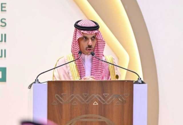 وزير الخارجية: حل الدولتين الطريق الوحيد لضمان سلام دائم في المنطقة