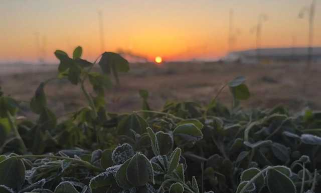 طريف تسجل أقل درجة حرارة بالمملكة