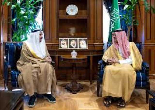 وزير الدولة للشؤون الخارجية يستقبل سفير الإمارات لدى المملكة