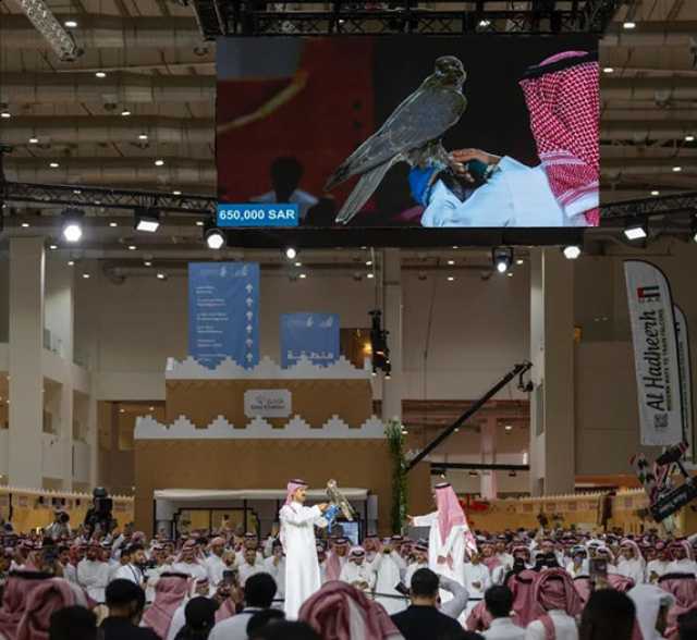 بيع أغلى صقر منغولي بـ 650 ألف ريال