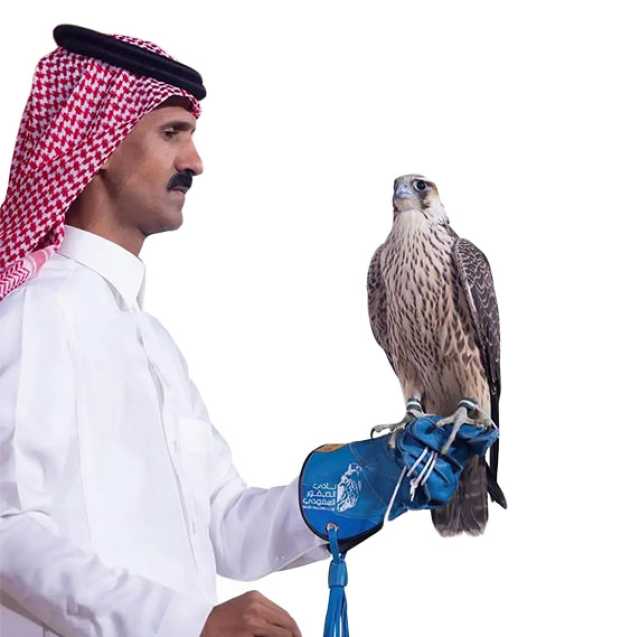 بيع 3 صقور بـ 399 ألفاً في «المزاد»