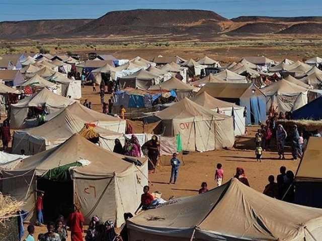 مطالب دولية بحمايتهم.. «الدعم السريع» يقتل مدنيين في الفاشر