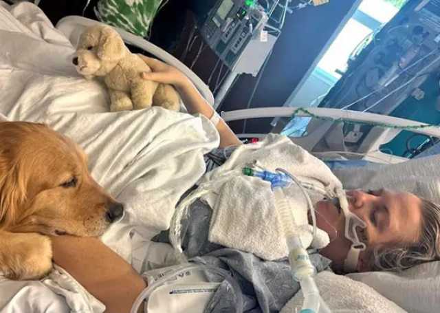 كلب يوقظ امرأة من غيبوبة