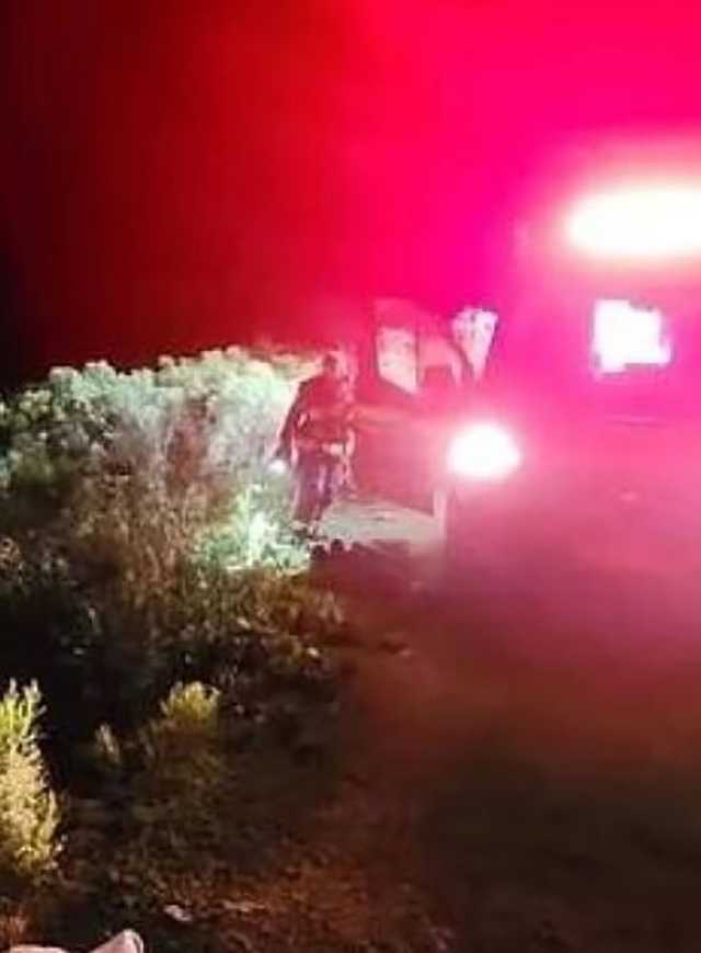 النحل يقتل برازيلياً وابنته اصطدما بـ«الخلية»