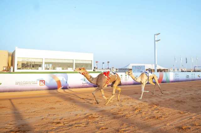  الهجن السعودية تفتتح مشاركاتها في” كأس الأولمبية” بكأسين ولقب 20 شوطاً