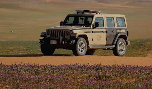 تطبيق الإجراءات النظامية بحق «مخيم مخالف»