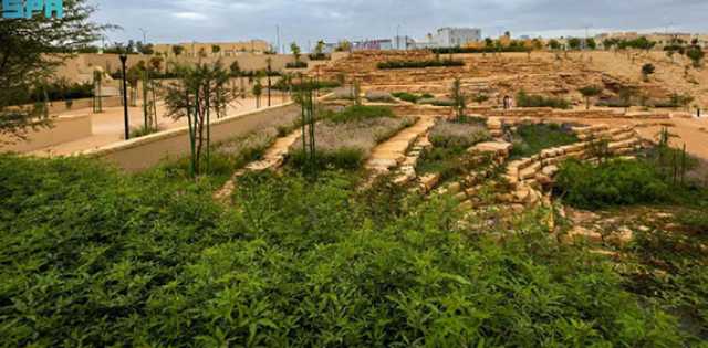 التحول يسهم في تخفيف الأعباء المالية.. «البيئة» تربط 213 مزرعة بالشبكة الكهربائية