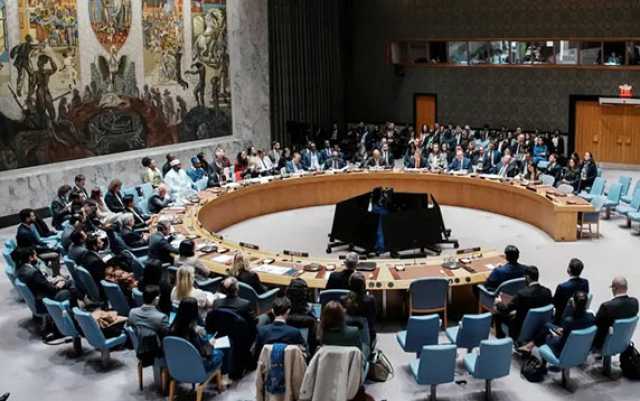 قوة دولية و«مجلس سلام» وتمهيد لمسار دولة فلسطينية.. مجلس الأمن يقر الخطة الأمريكية بشأن غزة