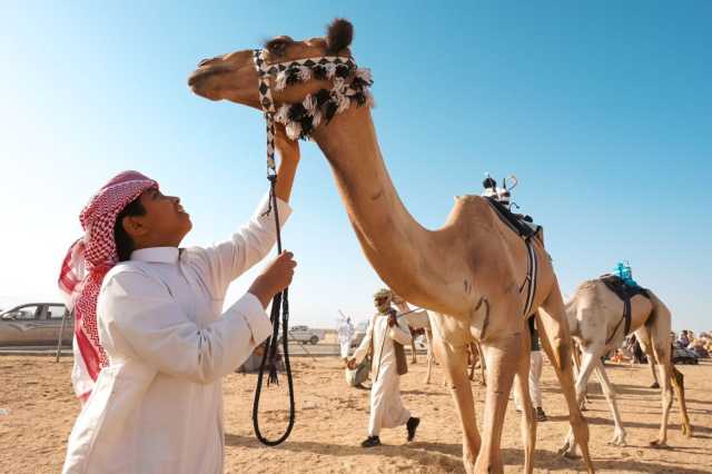 مشاريع “رؤية 2030” حاضرة في مهرجان ولي العهد للهجن