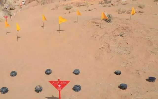 “مسام” ينتزع 826 لغمًا في اليمن خلال أسبوع