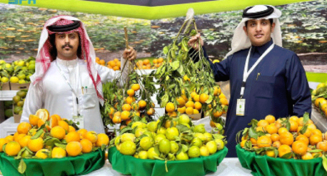 مهرجان الحمضيات