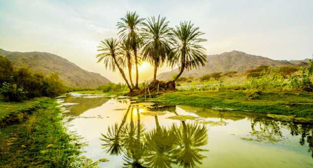 «وادي قنونا» .. متعة السياحة في الشتاء
