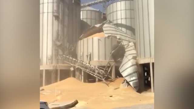 نائب:سرقة المال العام محمي حكوميا وسياسيا