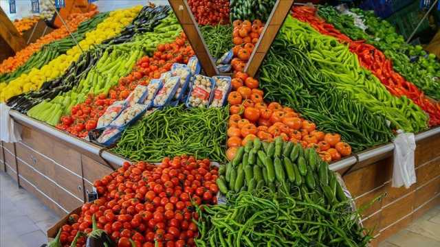 في ظل حكومة الزراعي السوداني..العراق يستورد خضروات من تركيا بأكثر من (71) مليون دولار خلال الشهر الماضي